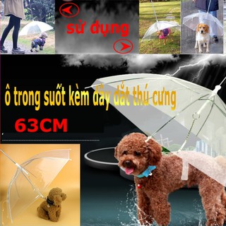 Dù che mưa cho thú cưng