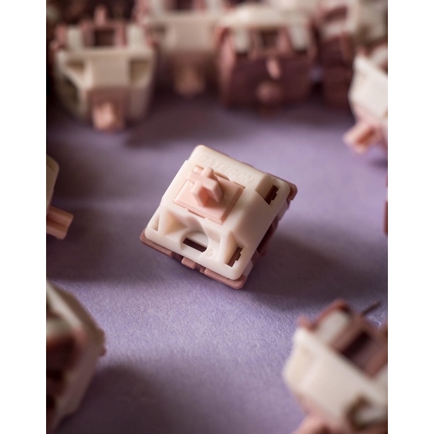 Gateron Mochi Switch (69)