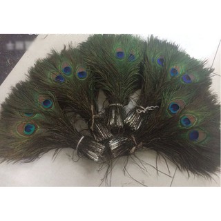 Set 5 Lông Công Làm Đồ Handmade Thủ Công Trang Sức Thời Trang Feather