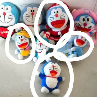 Gấu bông của uyên lê ngo
