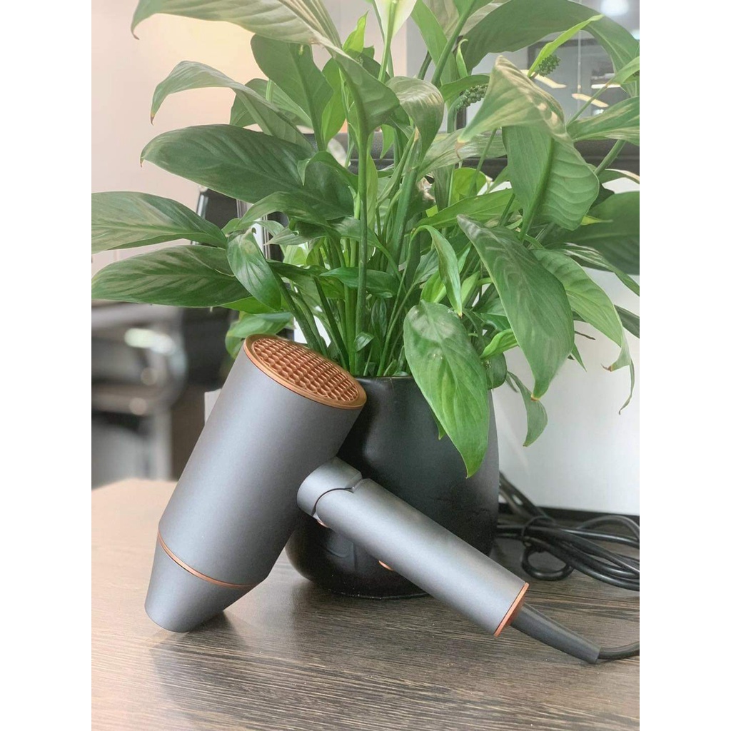 Máy sấy tóc ion LEBENLANG hàng Đức