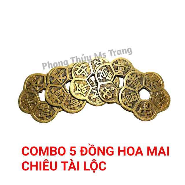 Combo 5 Đồng Hoa Mai - Hoa Mai Kim Tiền - Tiền Bằng Đồng