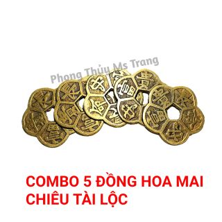 Combo 5 Đồng Hoa Mai - Hoa Mai Kim Tiền - Tiền Bằng Đồng
