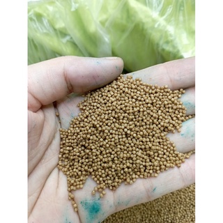 Cám cá cảnh, cá Koi, cá vàng( 1mm- 1,5 mm) siêu đạm