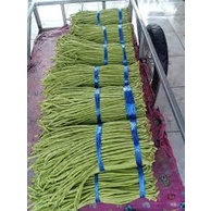 Hạt Giống Đậu Đũa F1(Gói 50 hạt)Siêu dễ trồng-Năng suất cao-Tổng kho hạt giống giá rẻ