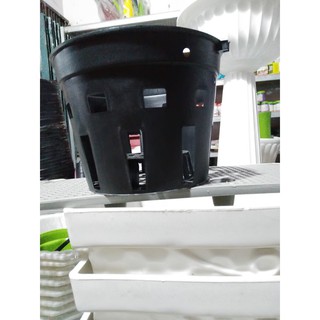 chậu đen trồng lan phi 13x11