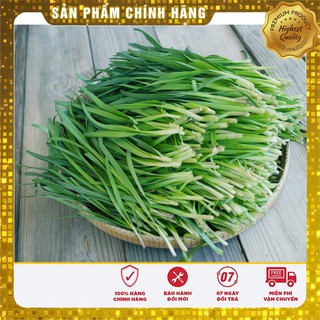 Hạt Giống Hẹ Ta Lucky seeds(10gr)