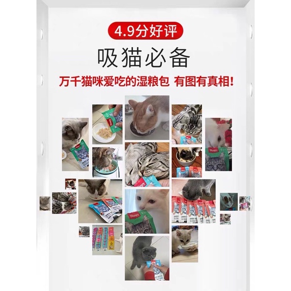 Pate Wanpy thức ăn cho mèo dinh dưỡng tăng cân siêu thơm ngon Surica WP04 (gói 80gr)