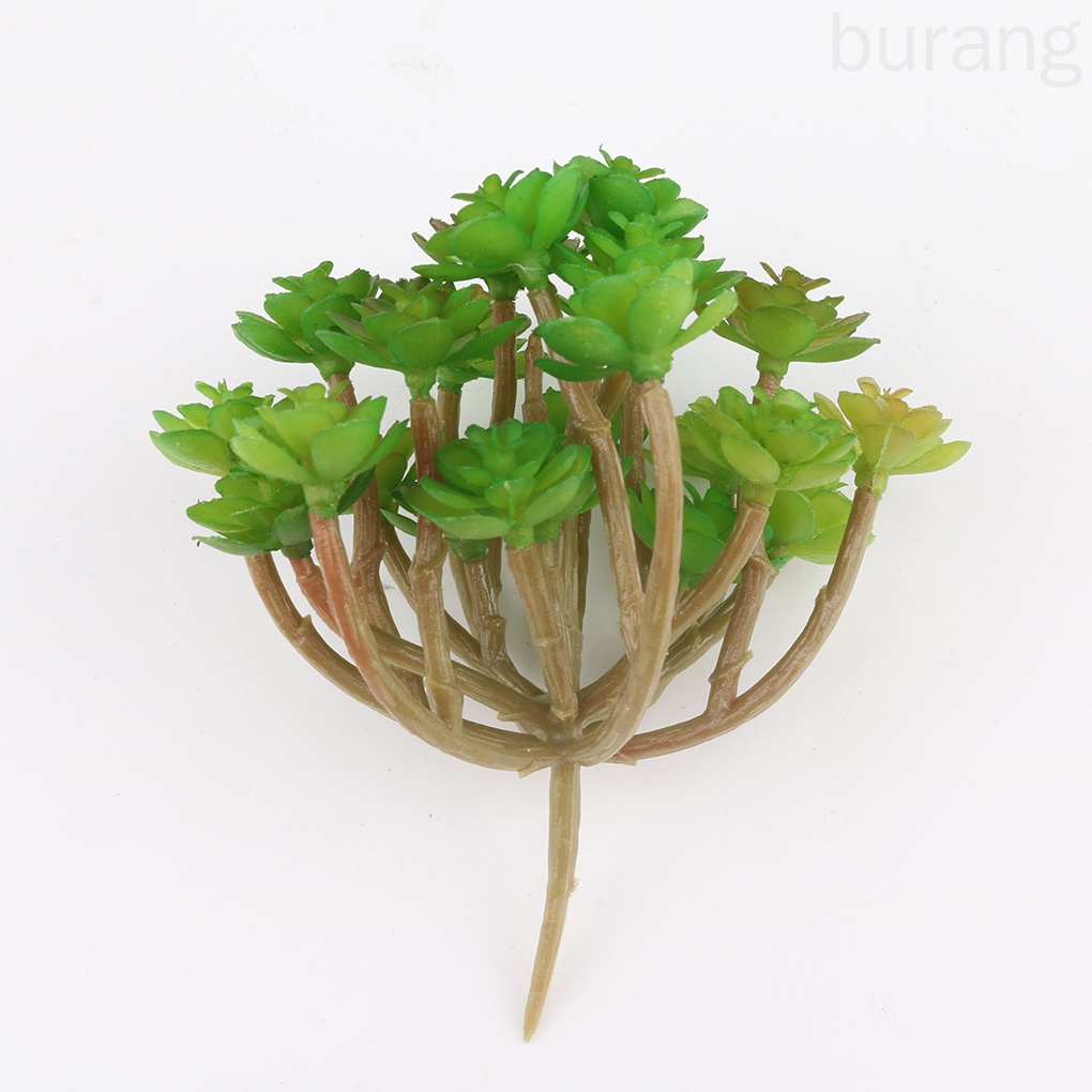Cây sen đá nhân tạo 24 đầu dùng cho trang trí