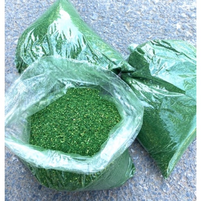 Rêu bột XANH phủ cây,chậu hoa🌿 Handmade