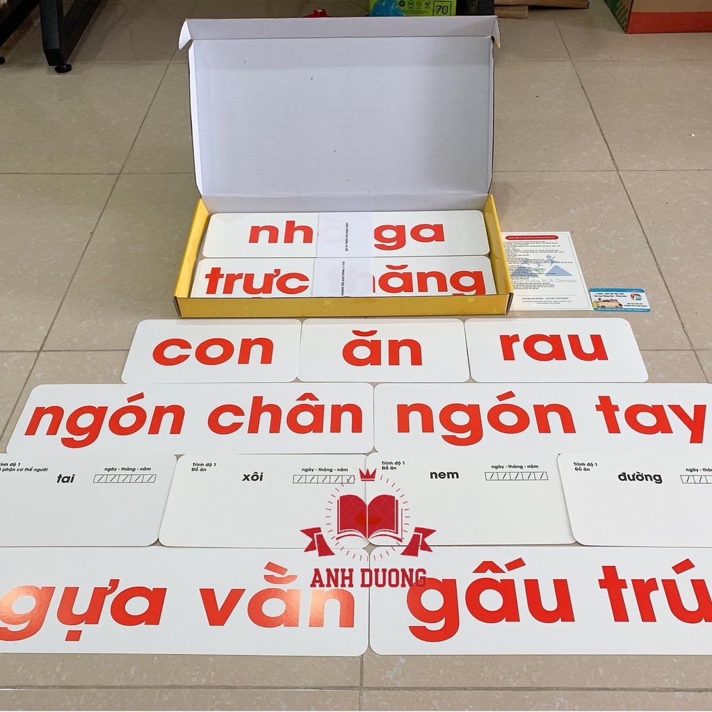 THẺ HỌC ĐỌC TIẾNG VIỆT CHUYÊN SÂU 300 THẺ GDKIDS -CHUẨN GLENN DOMAN