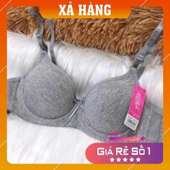 [Giá huỷ diệt] Áo Lót Cotton 613 Đệm Mỏng Siêu Đẩy | BigBuy360 - bigbuy360.vn