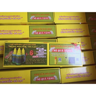 SET 1 HỘP HÙNG NGUYỄN ĐÀ LẠT 6 trong 1( 10 lọ)