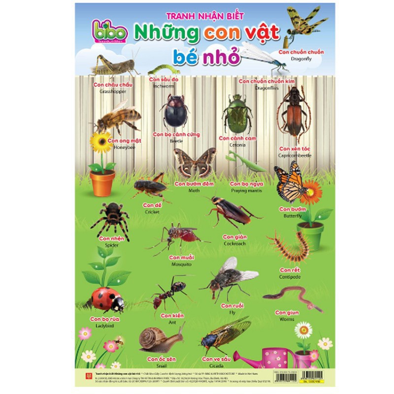 Tranh treo tường 12 chủ đề song ngữ cực kỳ cần thiết cho bé