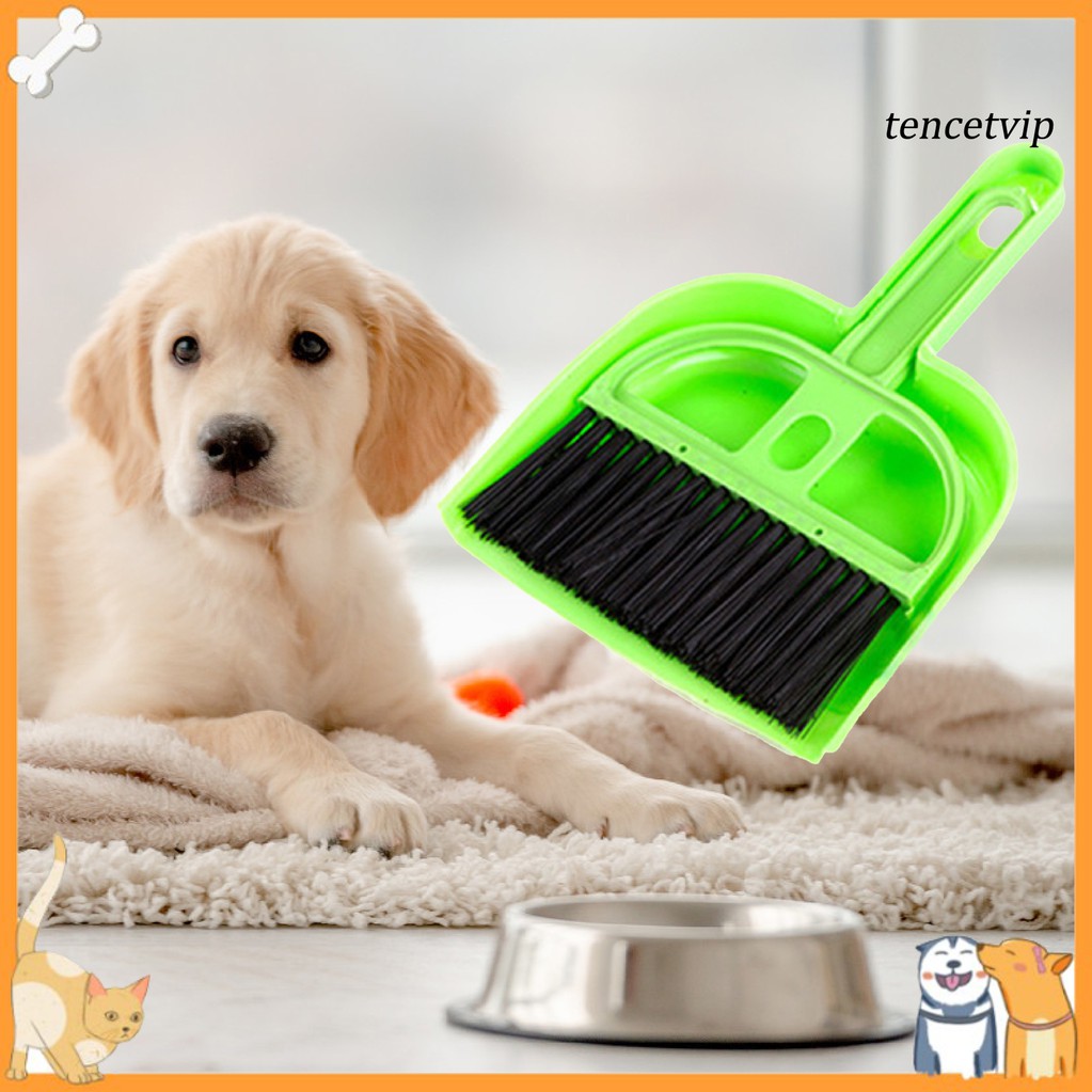 Chổi và ki hốt rác mini tiện dụng khi nuôi thú cưng