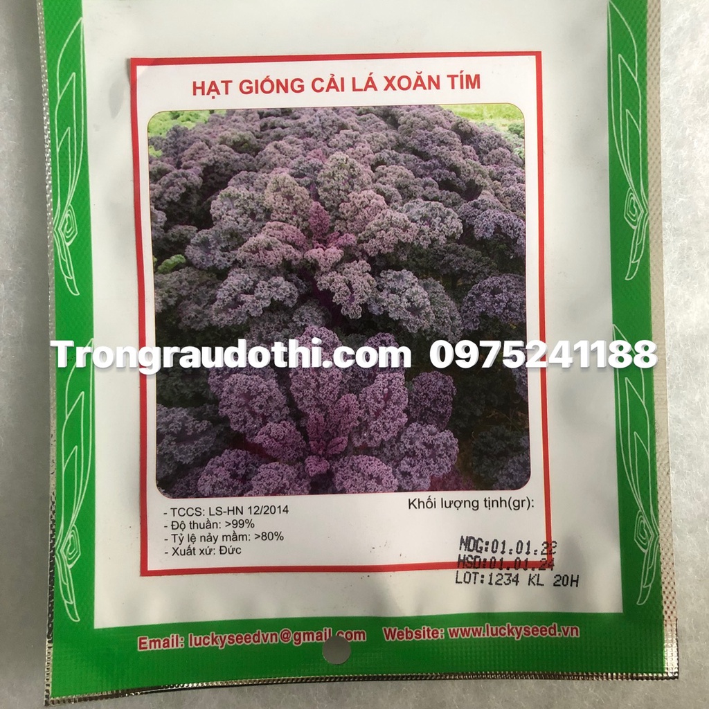 Hạt giống cải xoăn  xuất xứ Đức