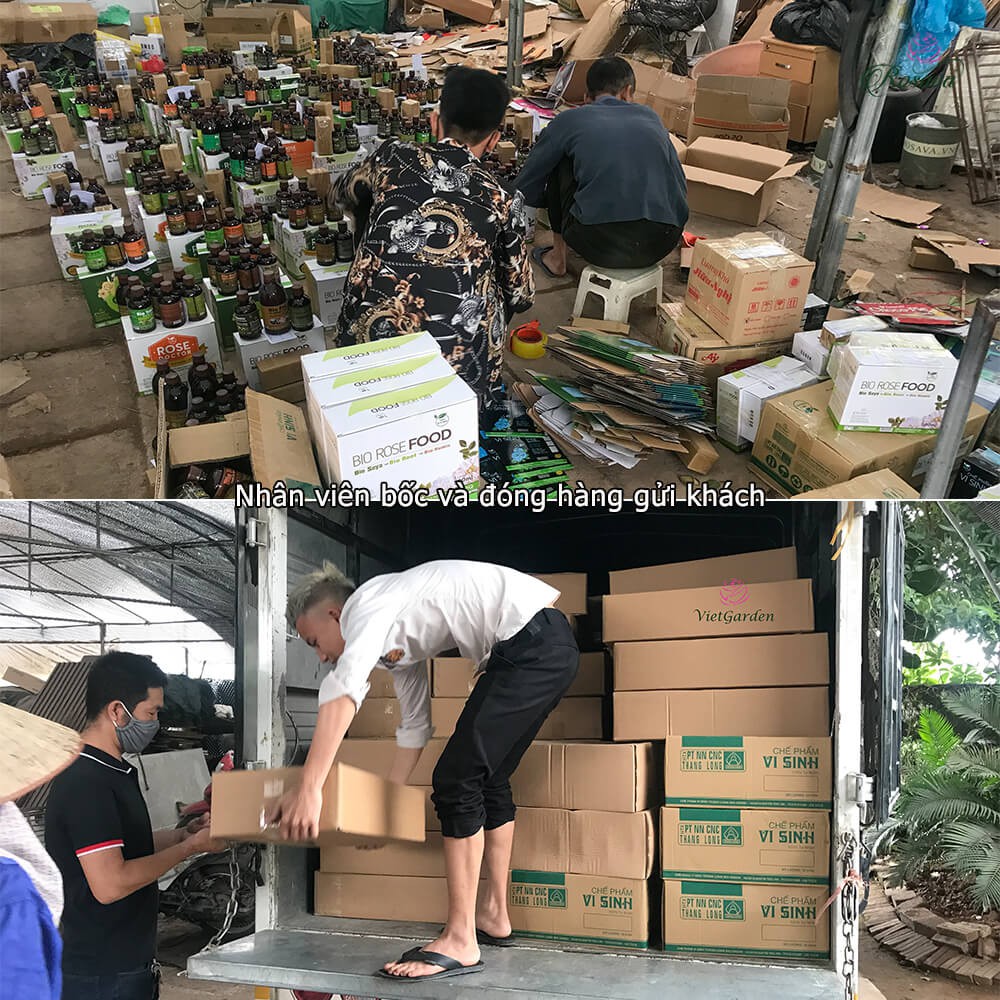 Combo phân bón lá hữu cơ vi sinh kích mầm chồi ra hoa Rosava cho hoa hồng, cây cảnh, hoa giấy, sen đá, lan