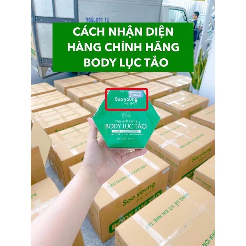 Body lục tảo soo young