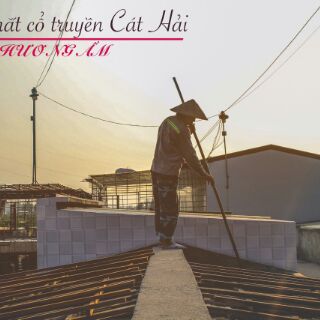 Nước mắm cá cơm