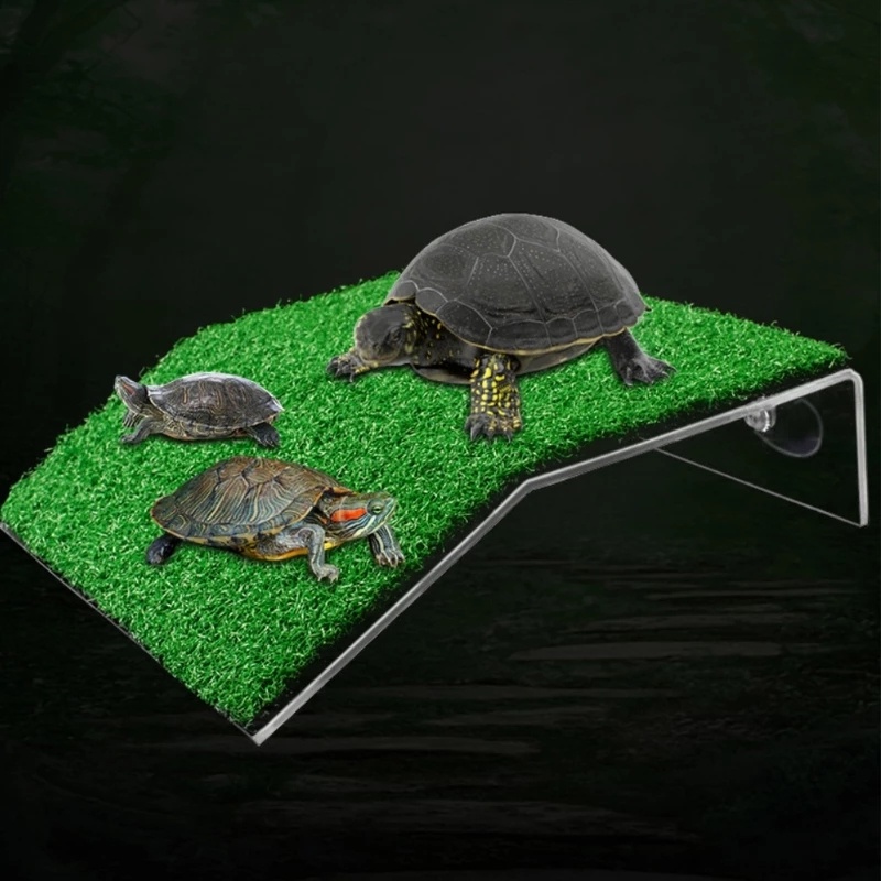 Mô hình hòn đảo trang trí bể nuôi rùa