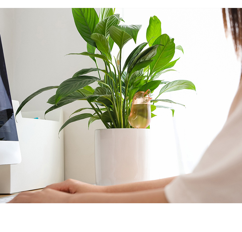 Bình tưới nước tự động hình chú chim kiểu dáng dễ thương