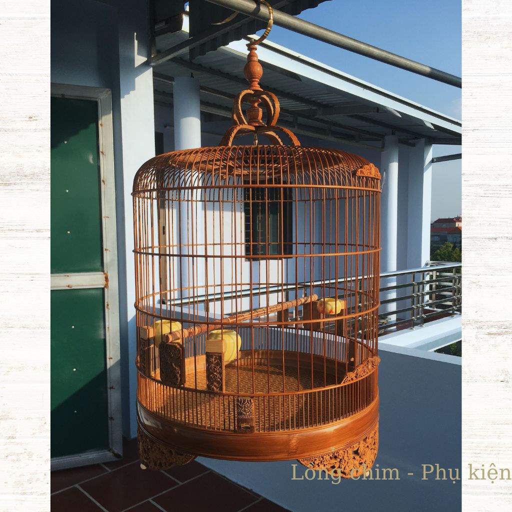 Lồng chim Chòe, Lồng chim Chòe trúc già họa tiết đẹp
