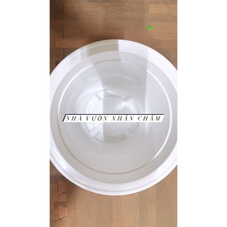 Chậu trồng cây trắng trơn A280