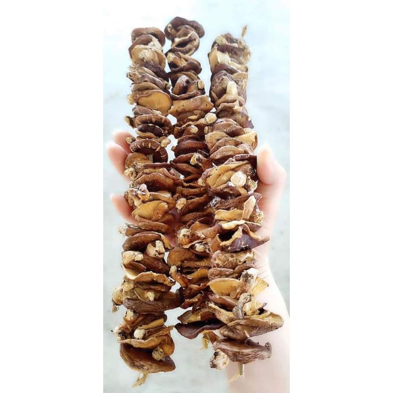 100g Nấm Hương Rừng Nấm hương xiên dây đặc sản tây bắc