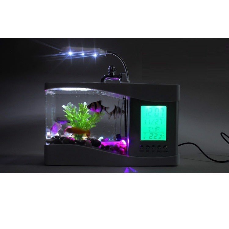 Bể cá mini để bàn kiêm Đồng hồ, Lịch hiển thị đèn led