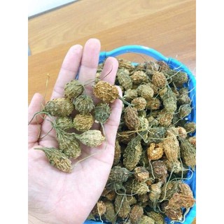 Mướp Đắng Rừng | Khổ Qua Rừng | Gói 1000gram| Hàng Mới