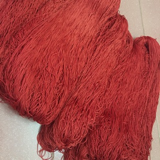 Dây chỉ đỏ