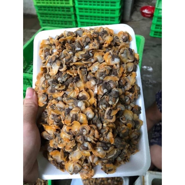 Ruột sò gạo 500gr