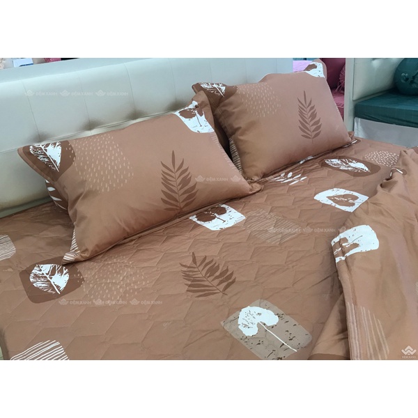 Bộ ga gối Sông Hồng Basic cotton BC22062