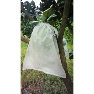 500 Túi bọc bưởi da xanh kích thước 30×35 - Thương hiệu Ánh Dương