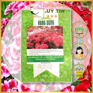 Hạt Giống Hoa Cẩm Nhung RD 832 (20 Hạt)