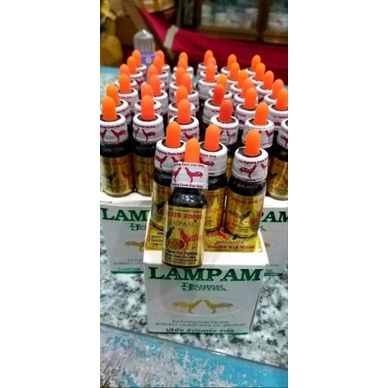 2cc STR200 nhỏ gà đá, tăng bo, lì đòn