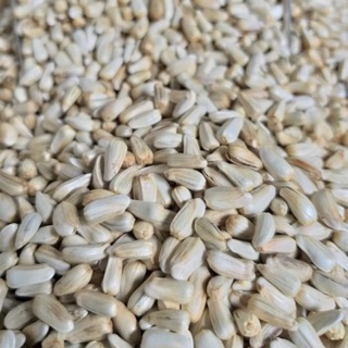 HẠT KHAM TRẮNG 100gam