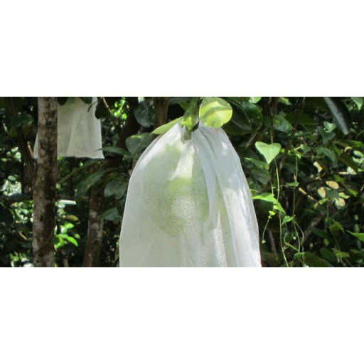 Set 50 túi bọc mít hiệu Hoa Mai chính hãng bền đẹp