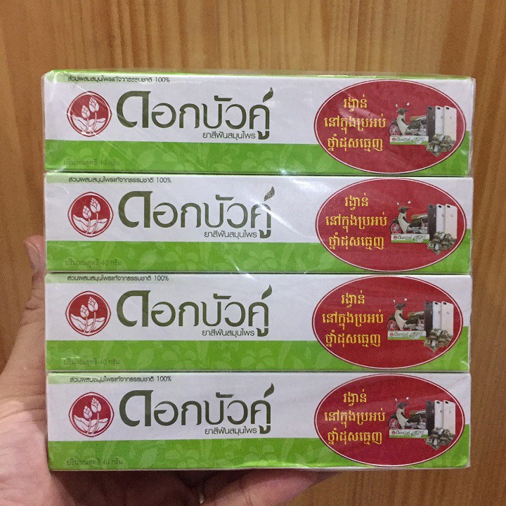 Kem Đánh Răng Thảo Dược Twin Lotus 40g Thái Lan