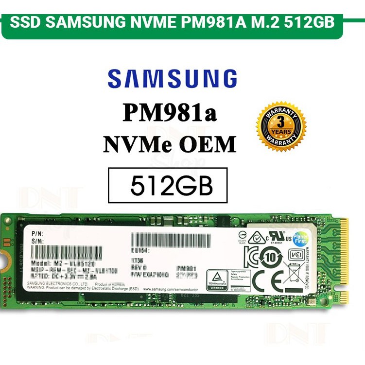 Ổ CỨNG SSD M2 SAMSUNG PM981A 256GB 512GB M2 NVME PCIE NEW 100% OEM - Bảo hành 36 THÁNG