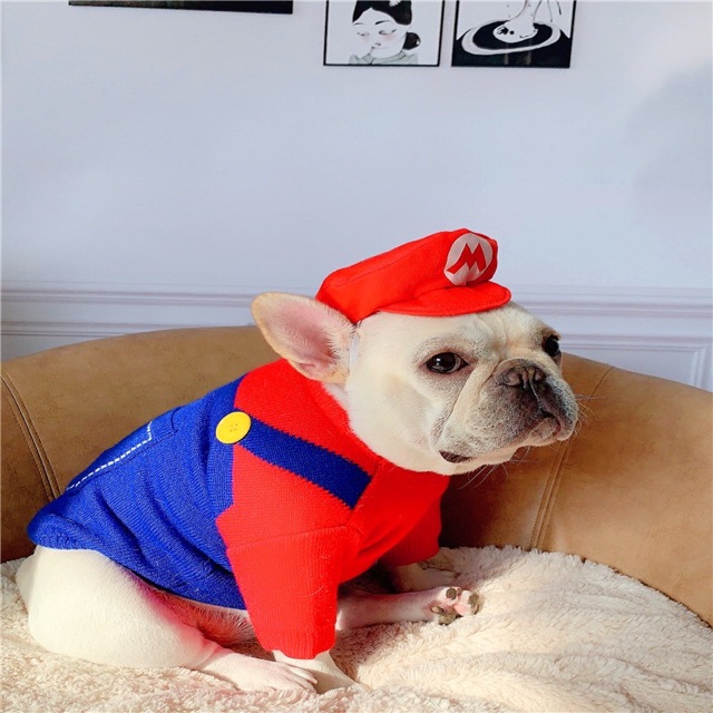 ÁO LEN MARIO CAO CẤP DÀNH CHO CHÓ MÈO