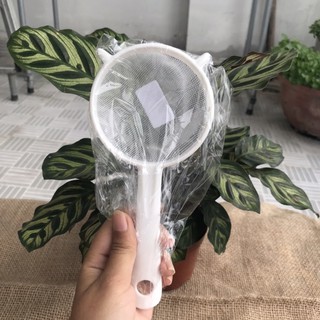 Rây nhựa | Rây lọc nấm Kefir