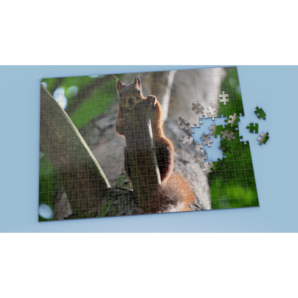 Tranh ghép hình SQUIRREL - Mẫu 6 - Nhận in theo yêu cầu