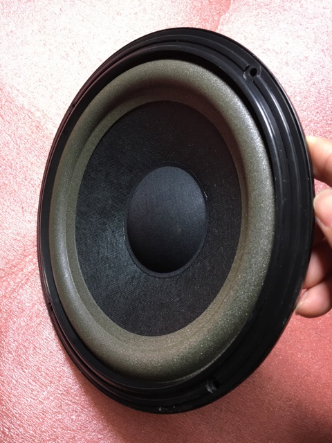 Loa Bass 20 Bose 301 Seri 4.Giá 2 Chiếc.