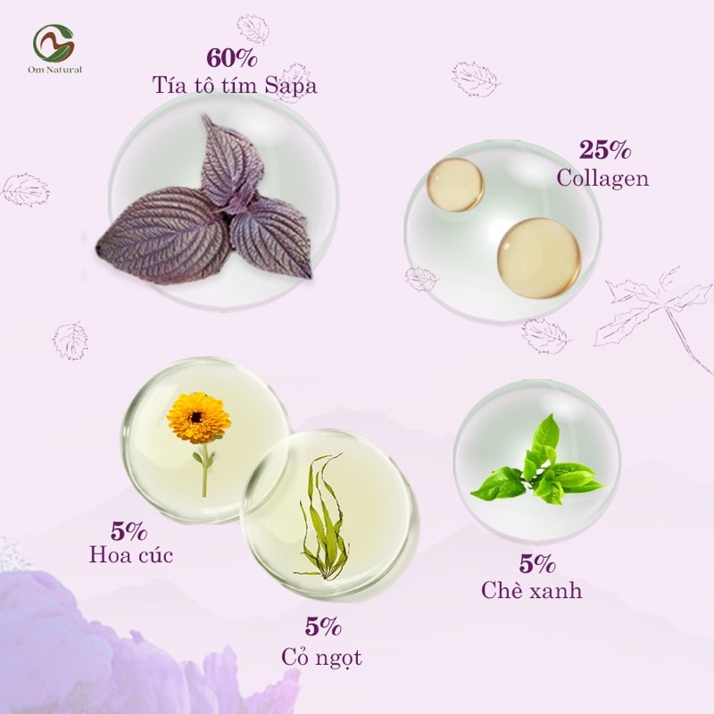 Trà Tía Tô Tím Collagen Mờ Nám Đẹp da Om Sapa 105gr