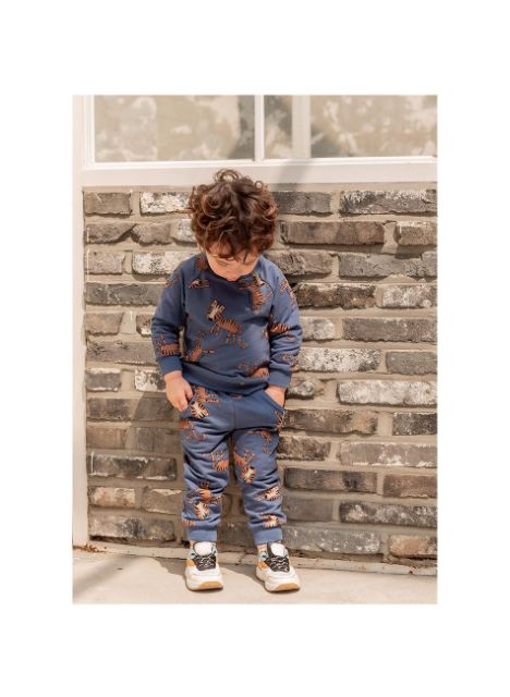 Set nỉ họa tiết hổ cho bé bebezoo