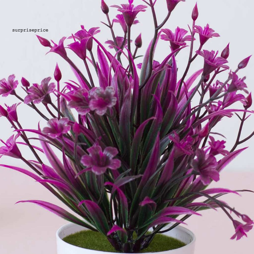 Chậu Cây Nhân Tạo Chống Mòn Dùng Trang Trí Bàn Làm Việc/Khách Sạn