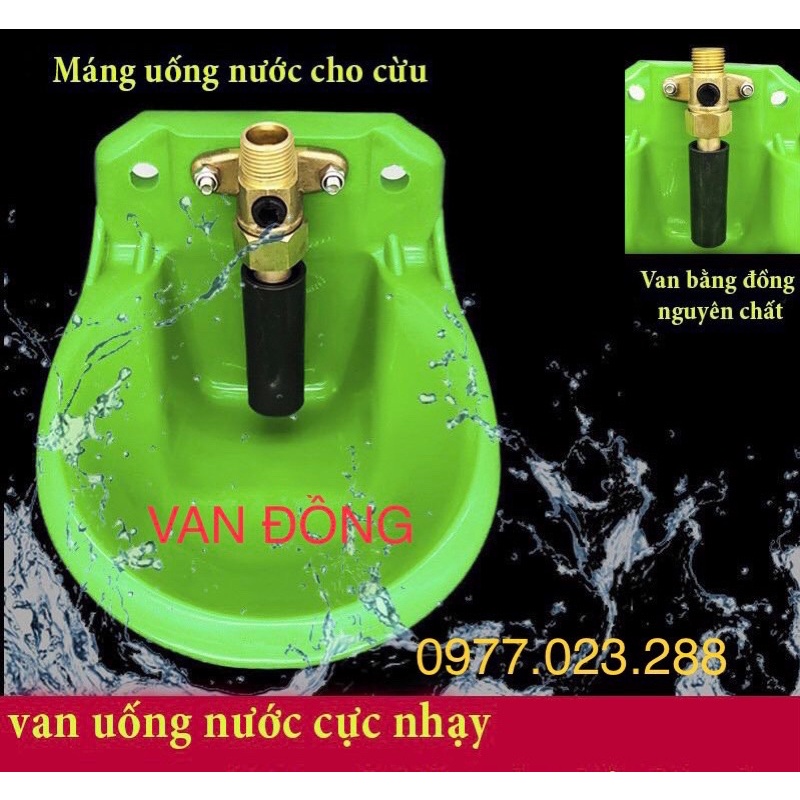 Máng uống nước tự động cho dê cừu hươu nai, cung cấp nước chủ động theo nhu cầu của vật nuôi