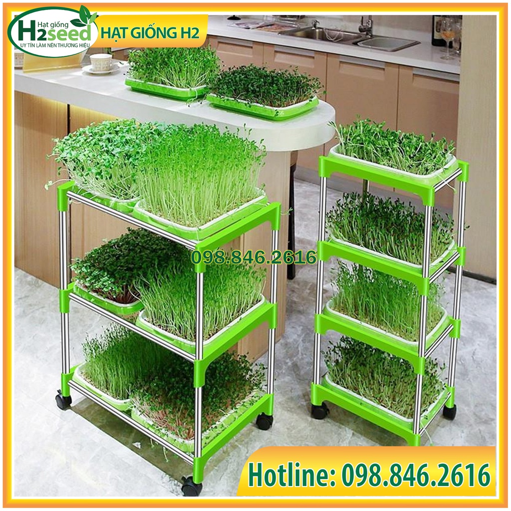 Kệ + khay trồng rau mầm thủy canh chuyên dụng có bánh xe dễ dàng di chuyển