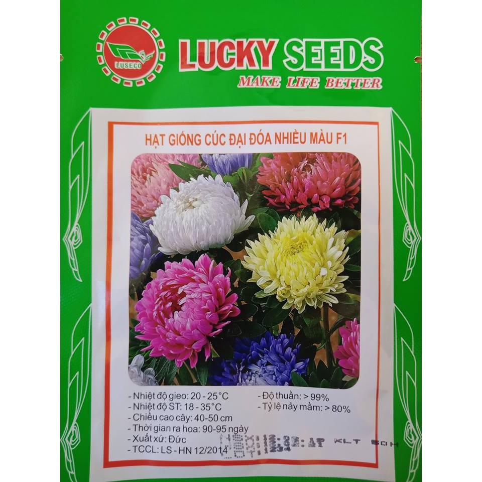 Hạt giống hoa cúc đại đóa nhiều màu LUCKY SEEDS - 50 hạt